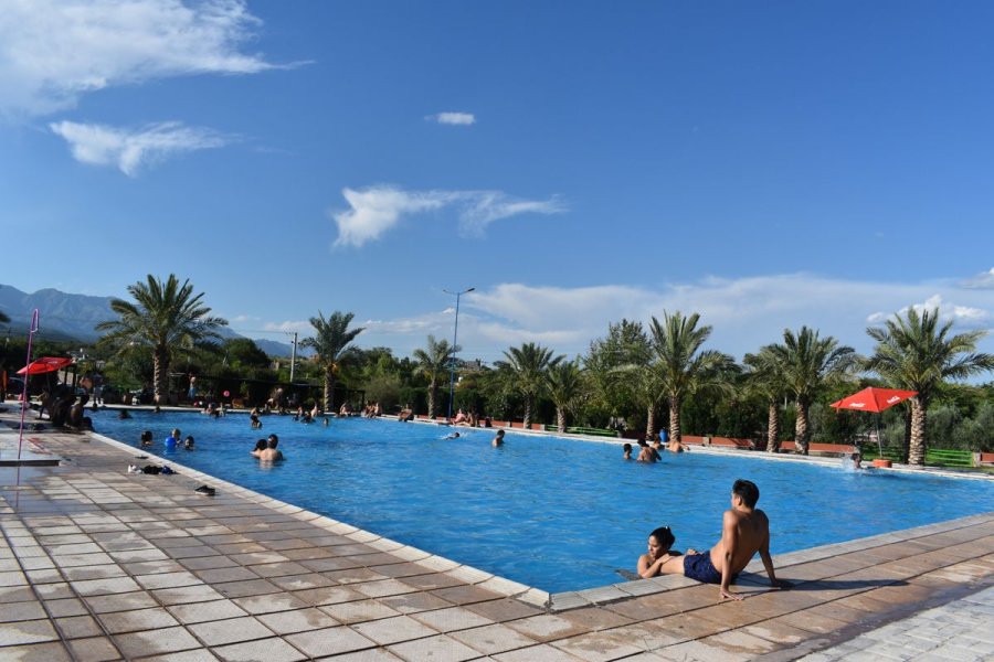 Pileta al aire libre del Parque de la Ciudad rodeada por palmeras